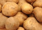 Семена картофеля, разных сортов - для вашего изобильного урожая!