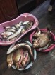Организовываем Рыбалку в Калужской области
