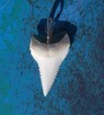 Кулоны с натуральным зубом акулы в подвесе из серебра 925 пробы