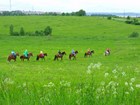 Конные и водные туры. Костромская область